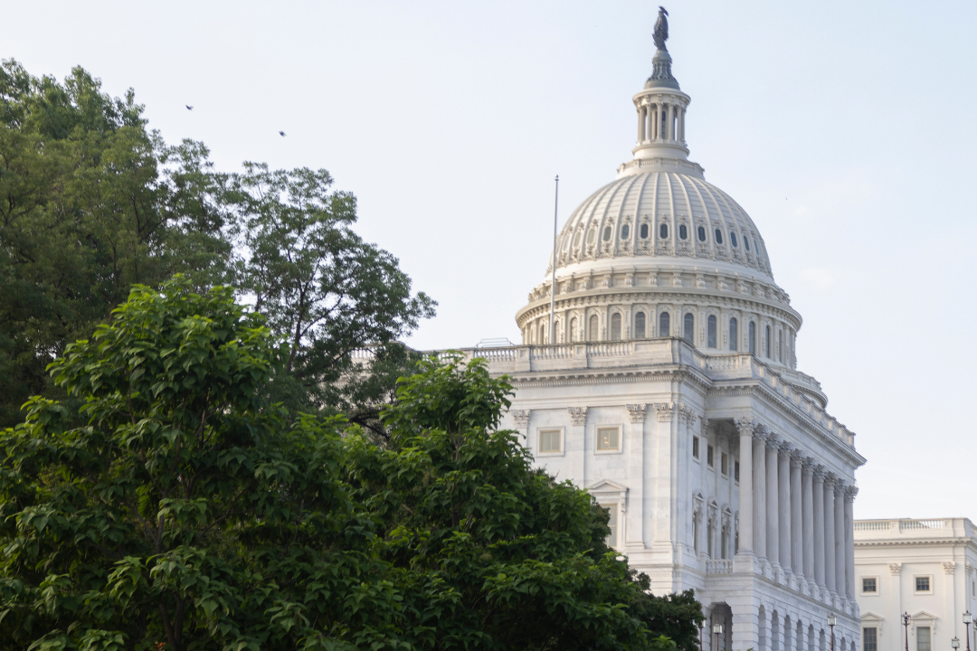 Capitol Building Resized