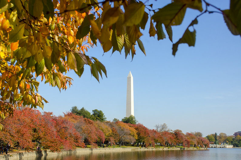 the Washington Monument on a fall day