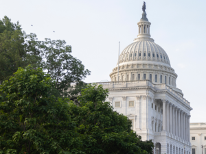 Capitol Building Resized