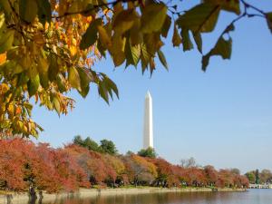 the Washington Monument on a fall day